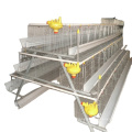 Automatic Quail/chicken farm cage New design quail/chicken layer cage for poultry farm